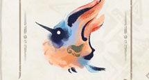 环境生物汇总